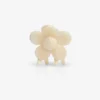 mini Bloomie Macadamia